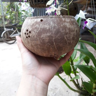Chậu không hoa văn SIZE LỚN