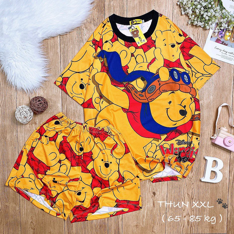 Bộ Ngủ Pijama Bigsize Thun Lạnh 3D Cao Cấp Tay Ngắn Quần Đùi Họa Tiết Hoạt Hình Dễ Thương