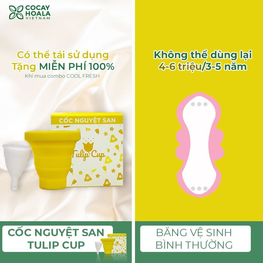 Combo chăm sóc chuyên sâu sữa rửa mặt 100g và kem chống nắng bơ nghệ 30ml, dung dịch vệ sinh phụ nữ 150ml Cocayhoala