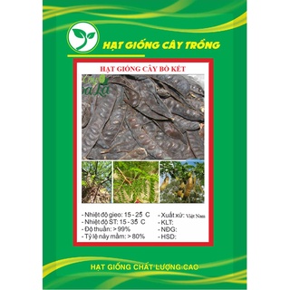Hạt giống cây bồ kết cây kns3697