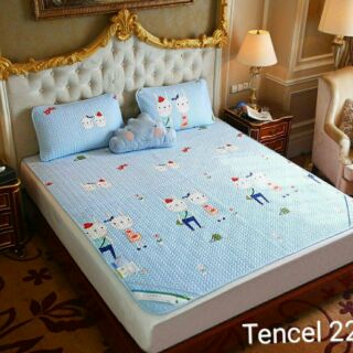 Chiếu teccel chuẩn m6*2m