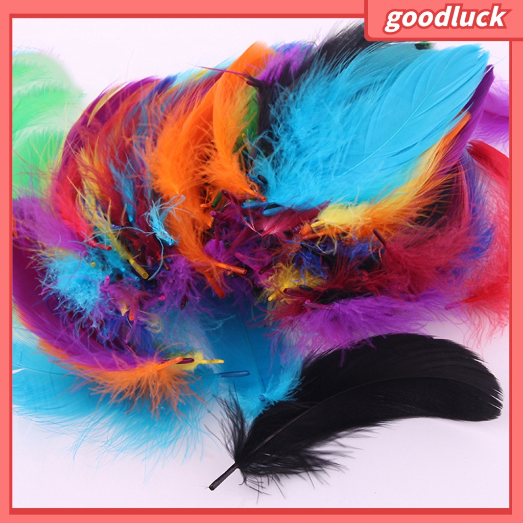 Bộ 100 Lông Vũ Nhiều Màu Sắc Dùng Trang Trí Thủ Công DIY