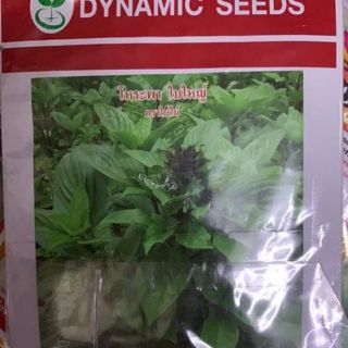 HÚNG QUẾ THÁI LAN