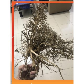 Lũa Xương Chùm 100g/30k 1kg