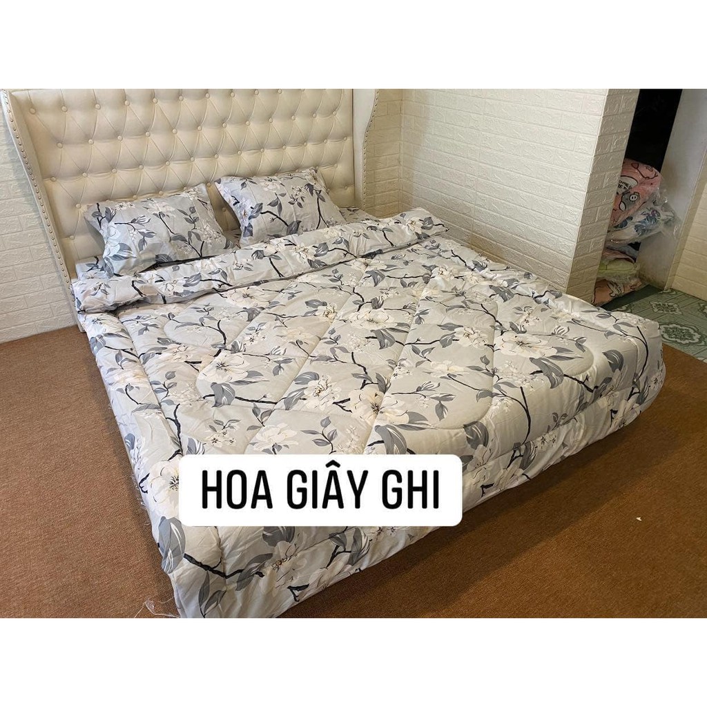 Bộ Ga Gối Cotton hàn 100% Cotton Đẹp Như Hình [Loại Đẹp Dày]