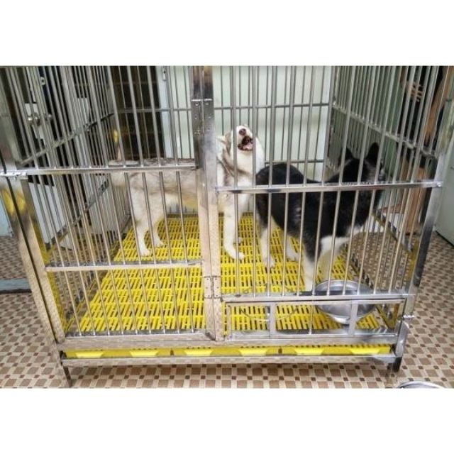 Combo 6 tấm sàn nhựa lót chuồng cho chó, mèo, lợn...