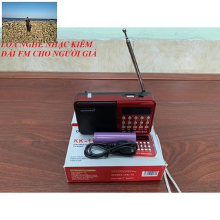 SALE SẬP SÀN ĐÀI RADIO FM NGHE NHẠC QUA USB VÀ THẺ NHỚ KK - 11 - ADP209