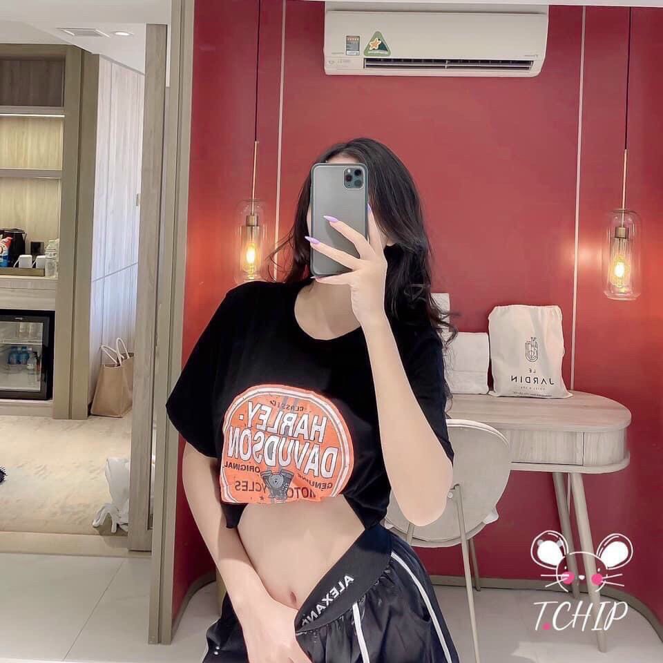 Áo thun croptop + Ảnh thật