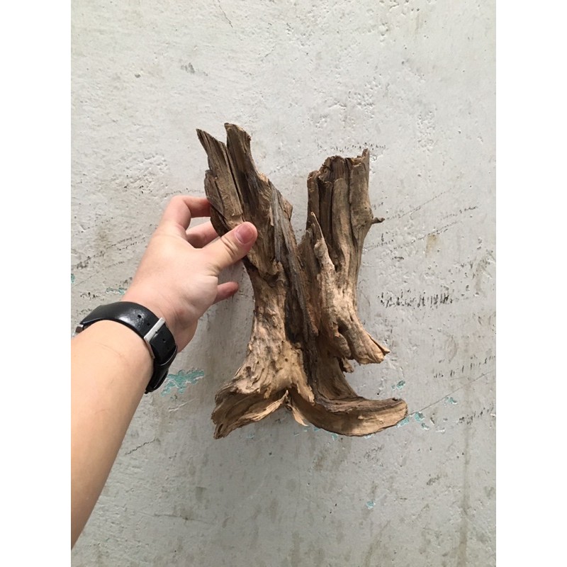 Lũa san đá, bìn lin làm thuỷ sinh, ghép lan, bán cạn