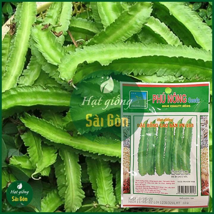 Hạt Giống Đậu Rồng Siêu Trái 10Gr