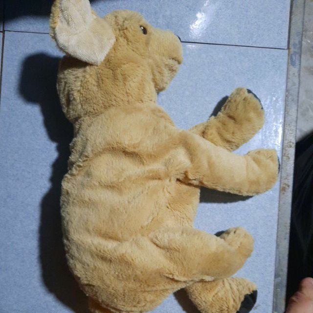 Gau Bong cho Minh Ngoc