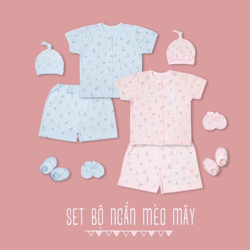 Bộ tay ngắn cotton miomio-Bộ cotton miomio