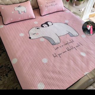 Chiếu điều hòa tencel m8×2m