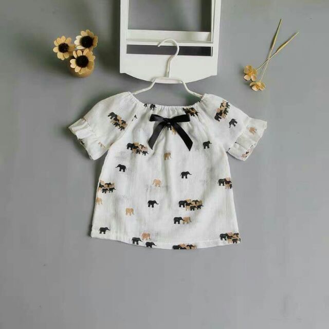 Combo 4 bộ chị thoa