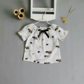 Combo 4 bộ chị thoa