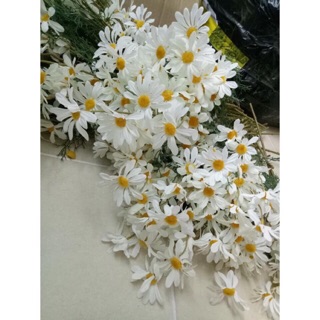 Hoa Cúc Hoạ Mi 53cm trang trí nhà cửa/làm phụ kiện chụp ảnh sản phẩm