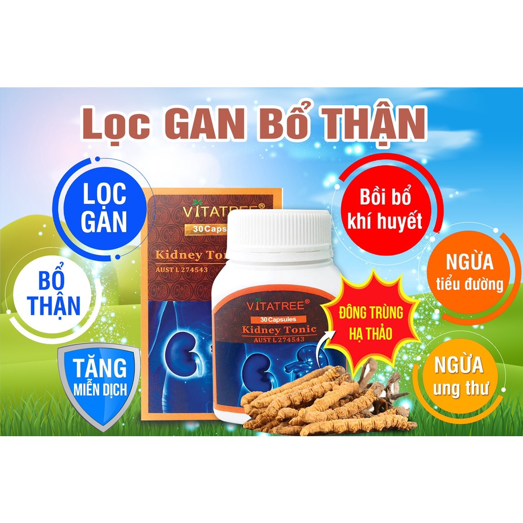 VITATREE Bổ Thận - Đông Trùng Hạ Thảo - Giải Độc Thận - Kidney Tonic - 30 Viên