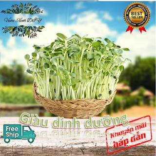 𝕳𝖆̣𝖙 𝖌𝖎𝖔̂́𝖓𝖌 Mầm Cải Ngọt Vườn Xinh DIY - (CHÍNH HÃNG) Hà Nội Xanh 100gr sạch , dễ nảy mầm , an toàn , năng suất