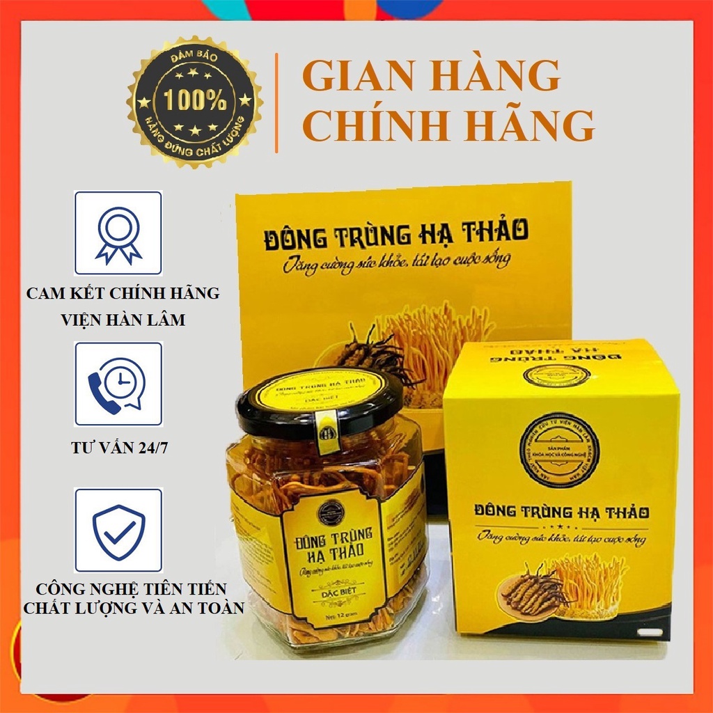 Đông Trùng Hạ Thảo Chính Hãng Viện Hàn Lâm 12 Gram, Nấm Đông Trùng Hạ Thảo, Đông Trùng Hạ Thảo Sấy Thăng Hoa Cao Cấp