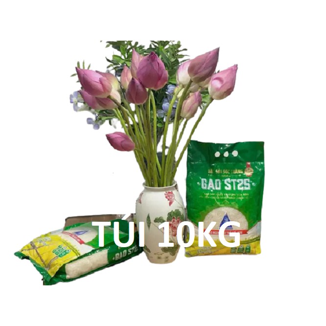 {Chính hãng} [Free ship] Gạo đặc Sản Sóc Trăng ST25 của VINASEED - Gạo ngon nhất Thế Giới 2019