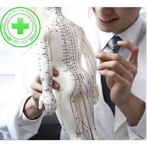 Mô hình châm cứu huyệt vị Nam, nữ - tượng người huyệt vị châm cứu