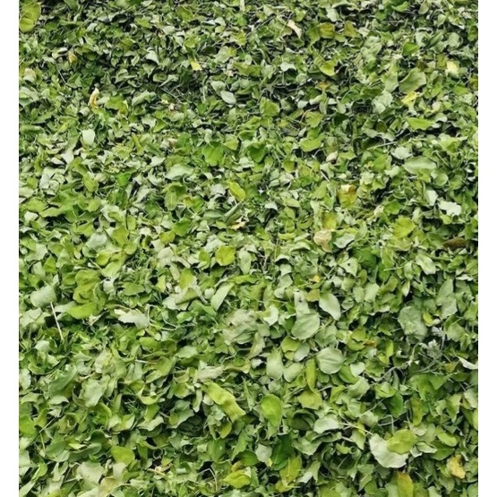 Lá chùm ngây sấy khô 200g