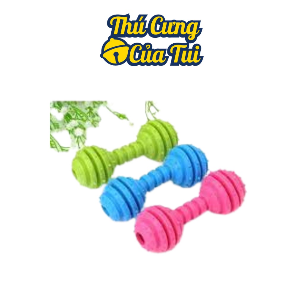Quả Tạ Gai Có Lục Lạc Cho Thú Cưng Chó Mèo - Thú Cưng Của Tui