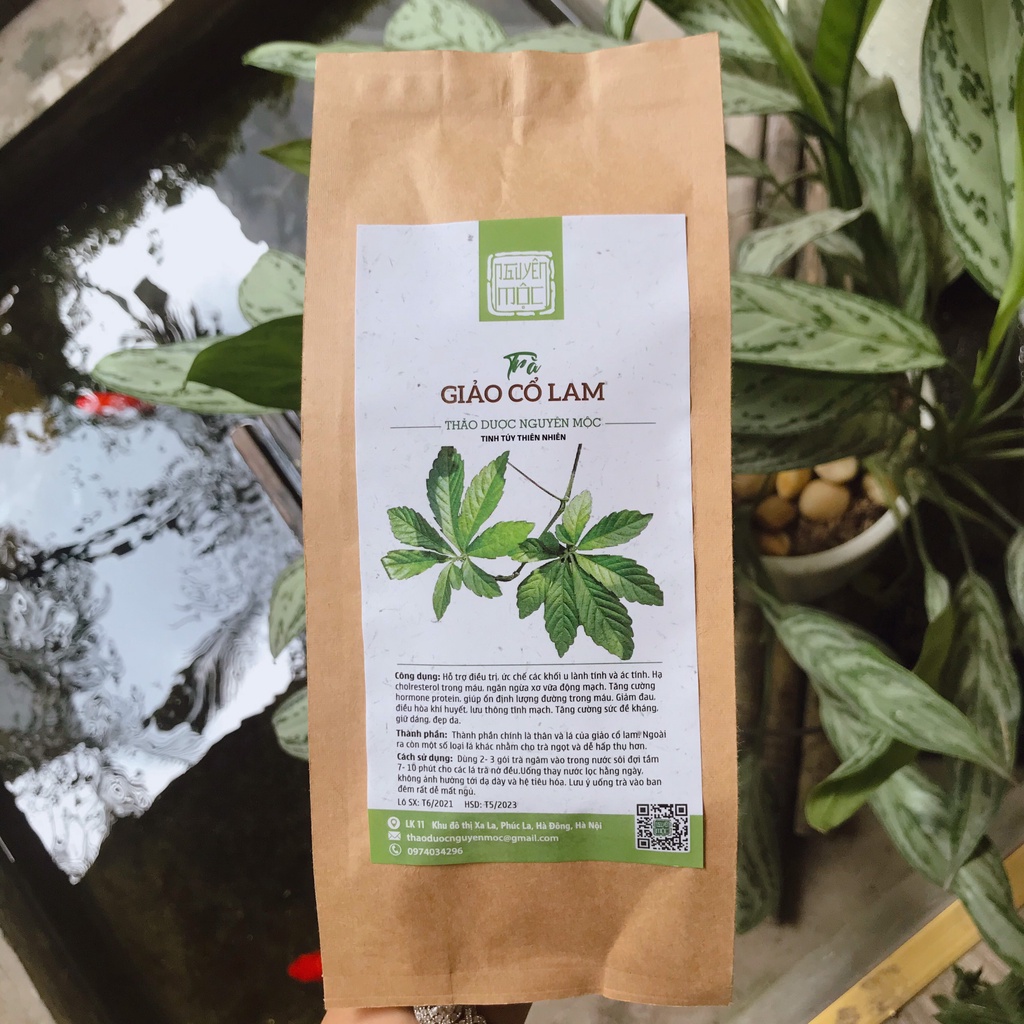 Trà giảo cổ lam thảo dược Nguyên Mộc hỗ trợ giữ dáng đẹp da, cải thiện giấc ngủ  điều hòa khí huyết | BigBuy360 - bigbuy360.vn