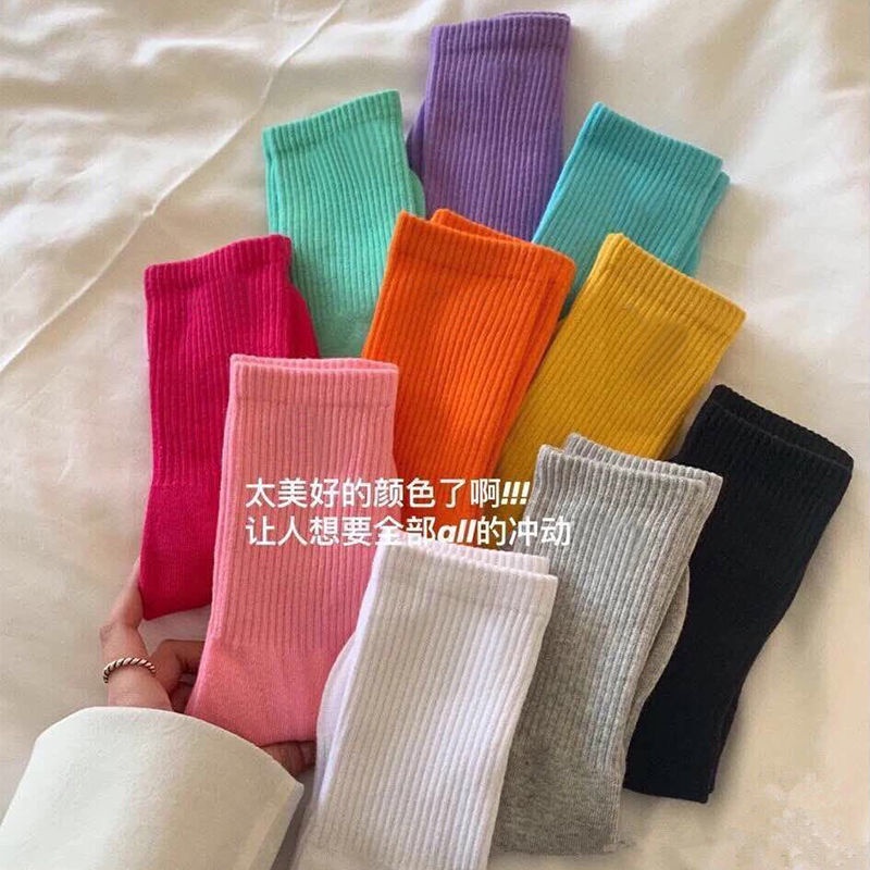 Set 2 đôi vớ thể thao màu sắc đơn giản trẻ trung