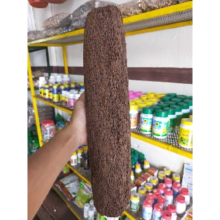 Dớn trụ trồng lan - ĐÃ xử lý - Giữ ẩm tốt, Phát triển bộ rễ tự nhiên