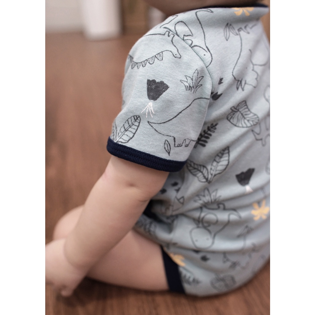 Bodysuit ngắn tay cho bé, bodychip cotton bé trai bé gái từ 0 - 12 tháng Baa Baby- CB01N-06