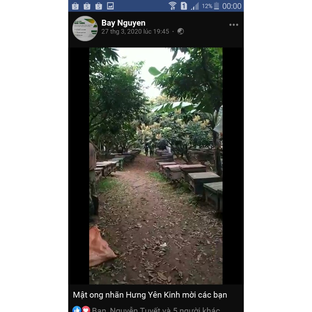 Mật ong hoa nhãn Hưng Yên