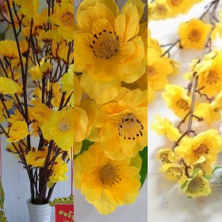 Combo 15 nhánh mai, đào vải trưng Tết