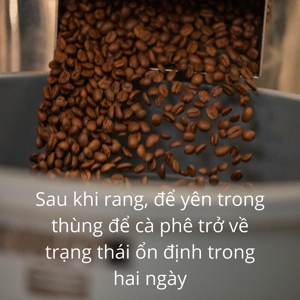 Cà phê FINE ROBUSTA CHẤT LƯỢNG CAO SƠ CHẾ RED HONEY - hạt rang xay mộc pha phin pha máy anaro coffee bao 500 gram