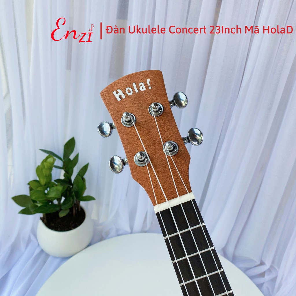 Đàn ukulele concert mã HolaD Enzi họa tiết nhí viền đen thiết kế khóa đúc cao cấp cho bạn mới bắt đầu tập chơi