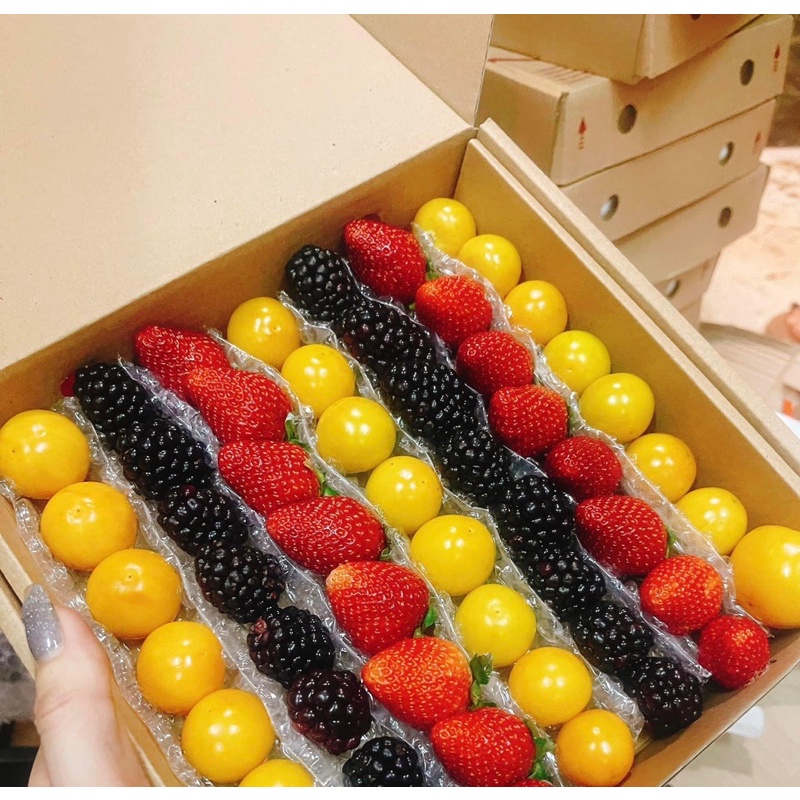 Dâu Nhật Sky -Phúc Bồn Tử và Thù Lù Nam Mỹ 🍓