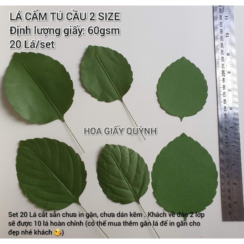SET 20 LÁ GIẤY CẨM TÚ CẦU (Chưa in gân, chưa có kẽm)