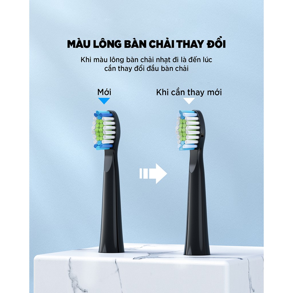 Bàn chải đánh răng điện FAIRYWILL E11 Bản Màu Đen Làm sạch bằng sóng siêu âm 8 đầu thay thế