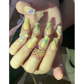 nail box thiết kế giá chỉ từ 70k
