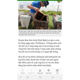Mật ong sú vẹt
