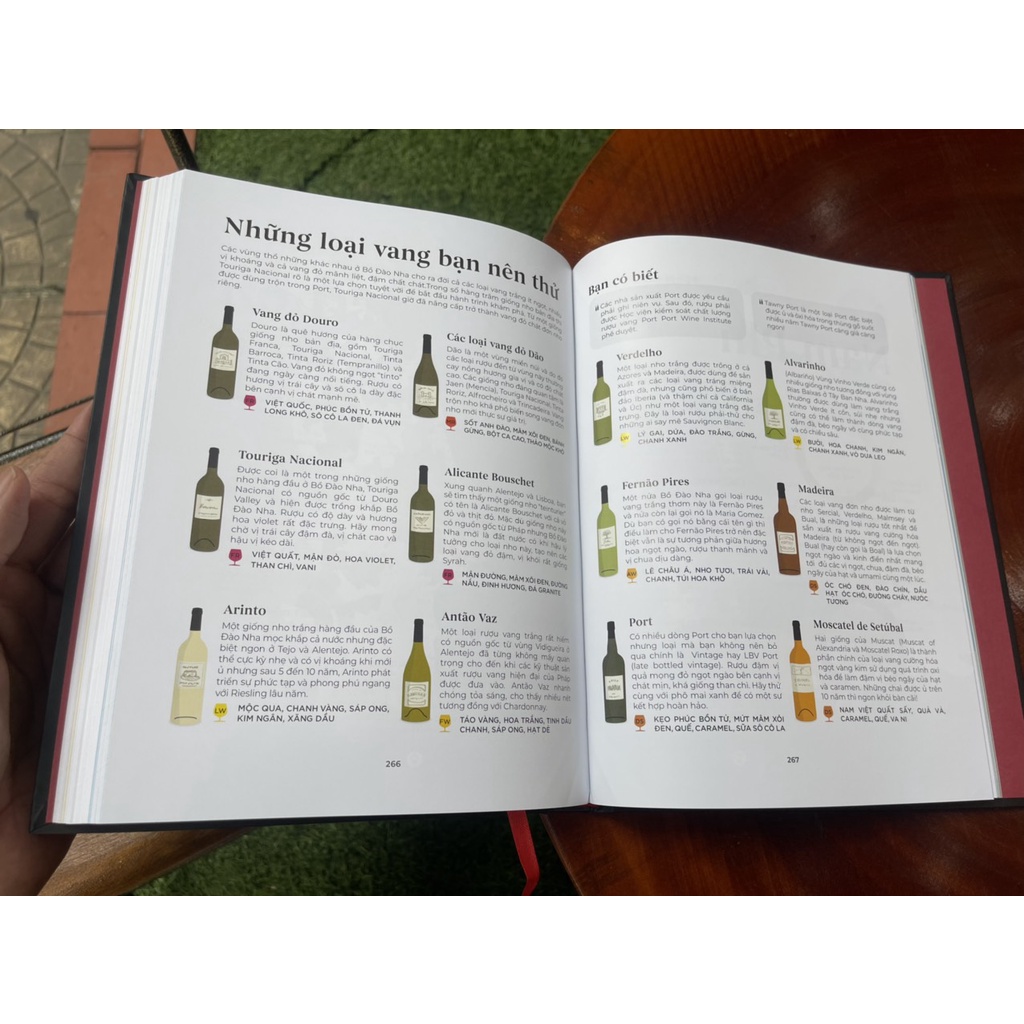 Sách - (Bìa cứng – In màu toàn bộ) Wine Folly Toàn Tập (Phiên bản Magnum) – TYG – NXB Phụ Nữ