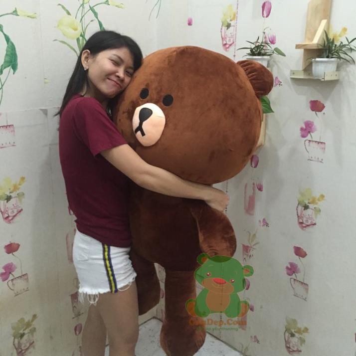 [FreeShip – Xả kho]  Gấu Teddy Brown khổ vải 1m nhỏ dễ thương - Guco