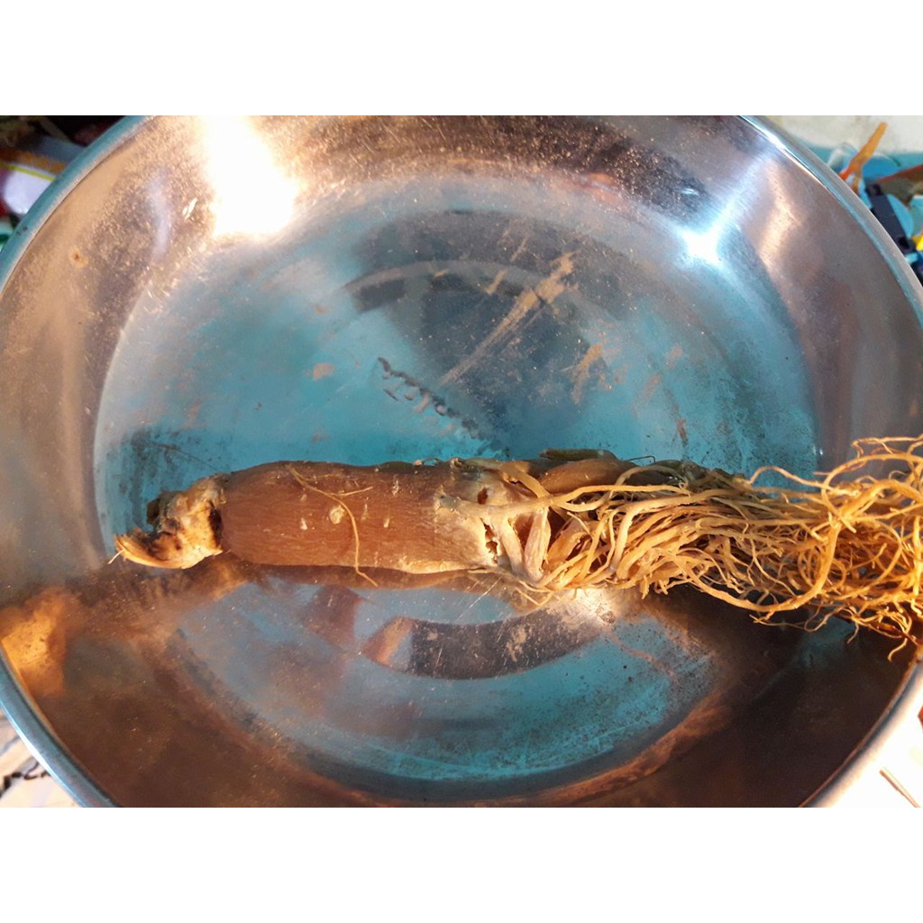 [FREESHIP 99K TOÀN QUỐC]NHÂN SÂM LOẠI 1 - 100Gr MÓN QUÀ CHO SỨC KHỎE | BigBuy360 - bigbuy360.vn