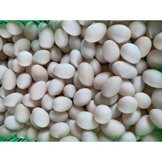 30 trứng vịt lạc trứng to