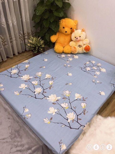 Ga chống thấm cotton trải giường 2 trong 1 nằm trực tiếp cho đệm từ 15-25cm (chat chọn mầu)