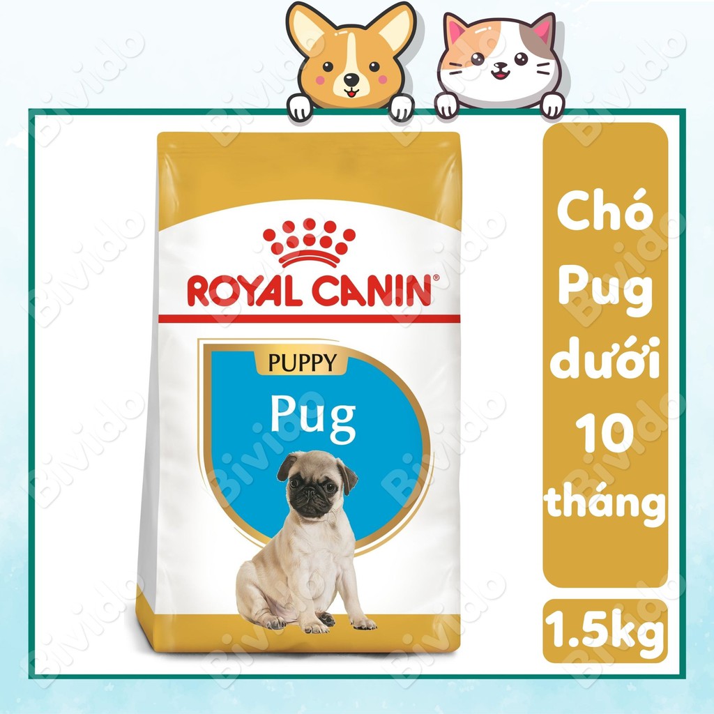 Thức ăn Royal Canin Pug Puppy chó con Pug dưới 10 tháng túi 1.5kg - Bivido