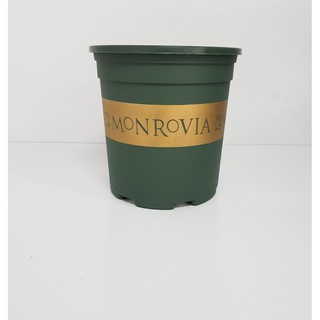 Chậu nhựa monrovia cỡ số 1 chậu nhựa 1galon trồng cây