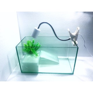 Bể nuôi rùa cảnh 35cm- bể cá cảnh bằng kính ( Tặng máng leo tiện lợi )