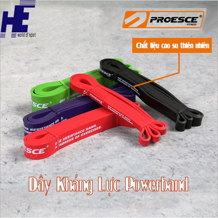 Dây kháng lực power band tập gym đa năng loại nặng hỗ trợ lên xà chính hãng proesce 15lbs, 35lbs-175lbs