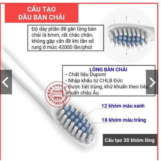 Bàn chải điện X3 cao cấp - 6 chế độ + TẶNG KÈM 4 ĐẦU BÀN CHẢI